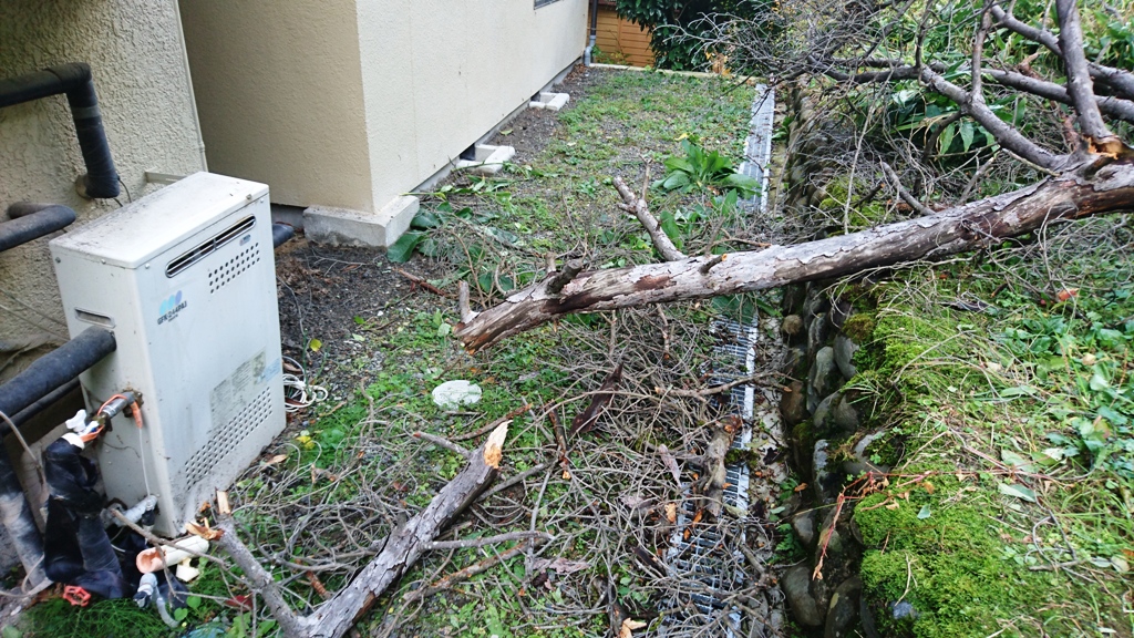 松本市のお客様「台風で倒木被害」